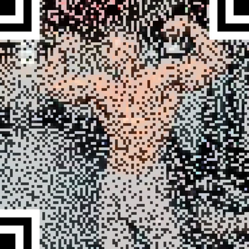 Profile picture of Testerpro