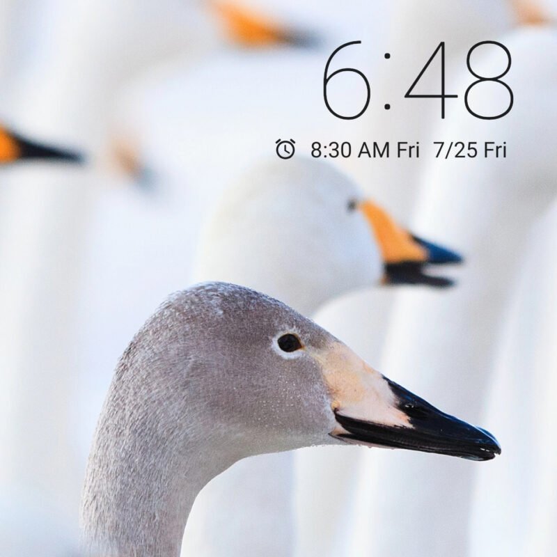 Profile picture of zahienkhan9995@gmail.com