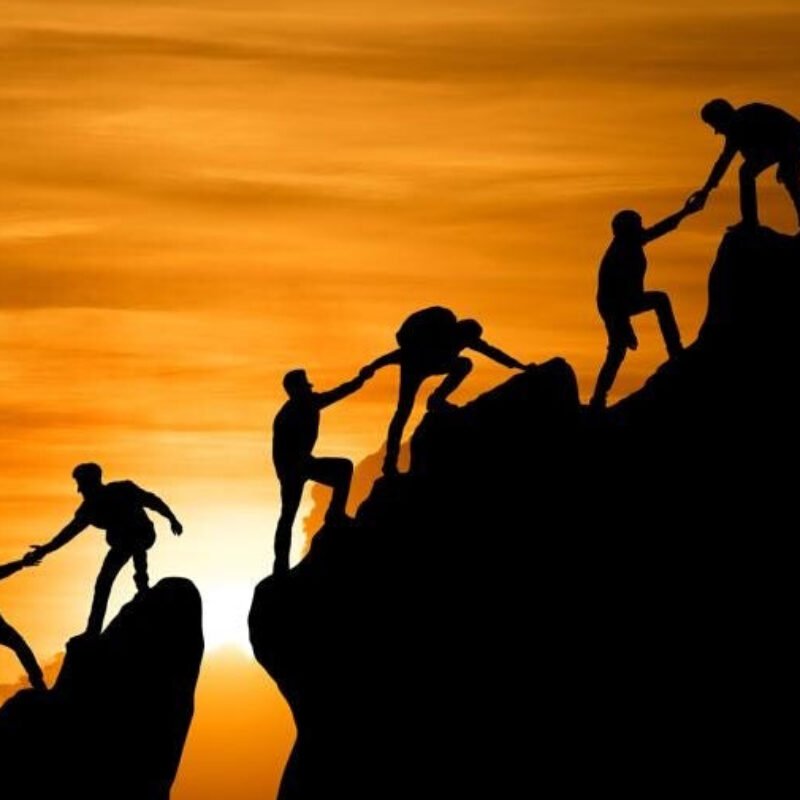 Profile picture of Tester